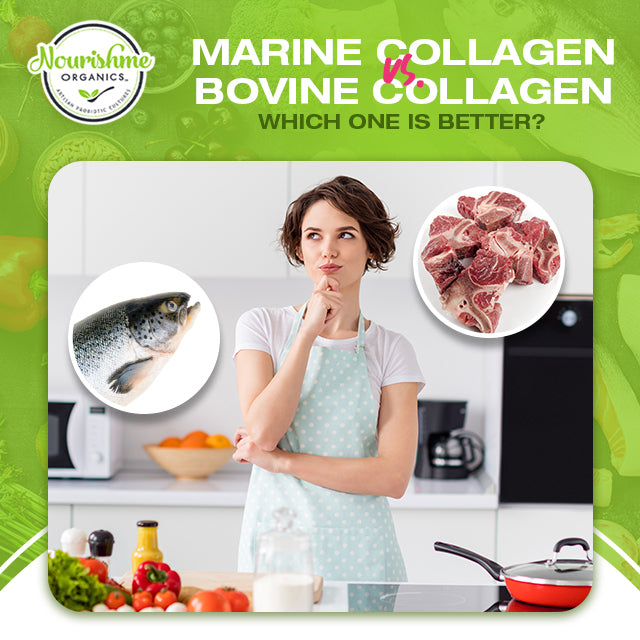 Marine Collagen vs Bovine Collagen Which one is better? Nourishme Organics