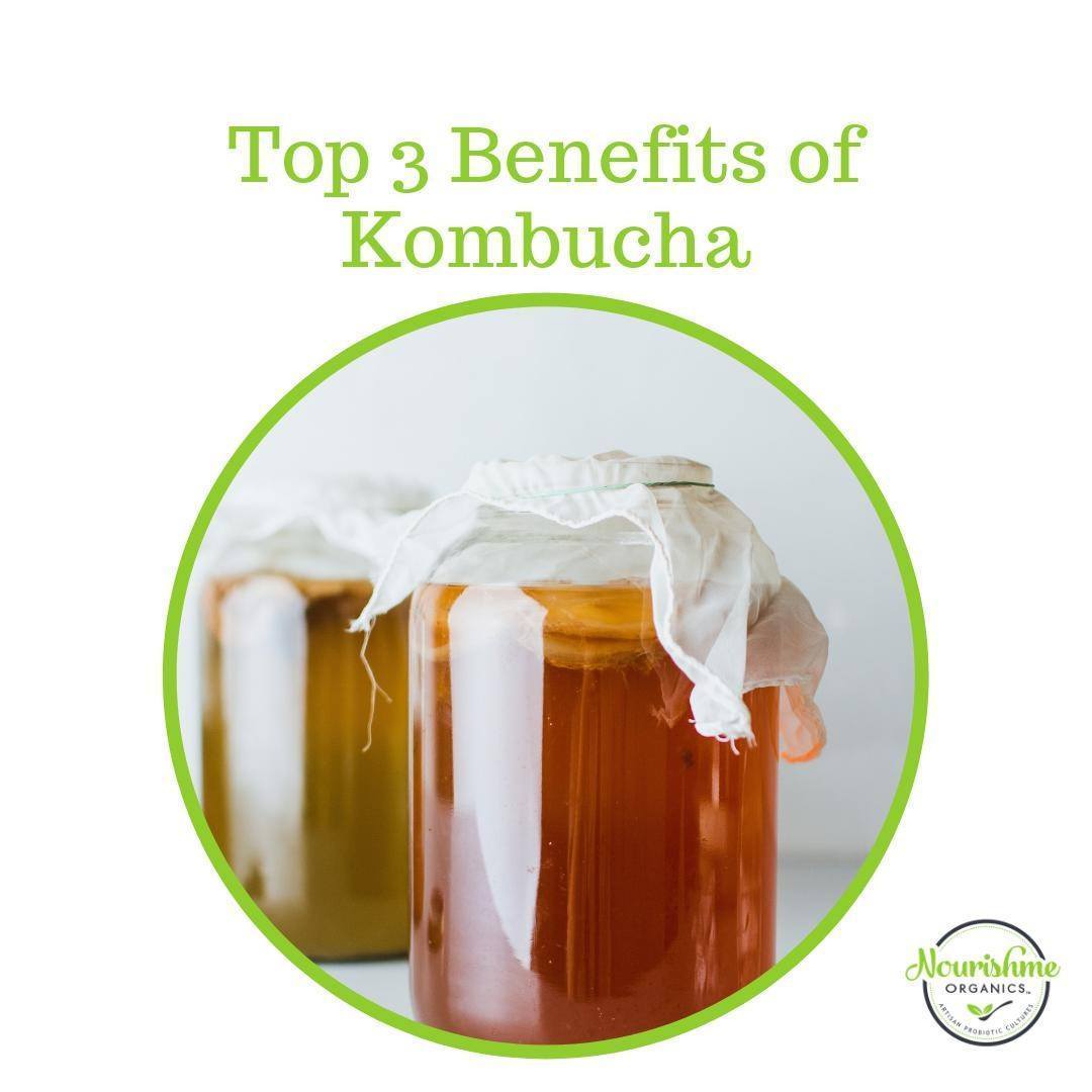 Top 3 Benefits of Kombucha 2019