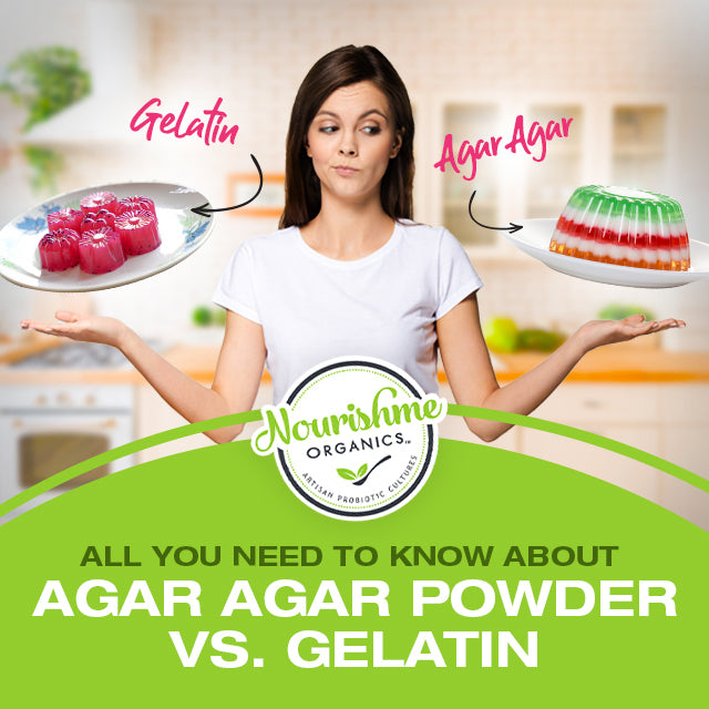 All You Need To Know About Agar Agar Powder vs Gelatin