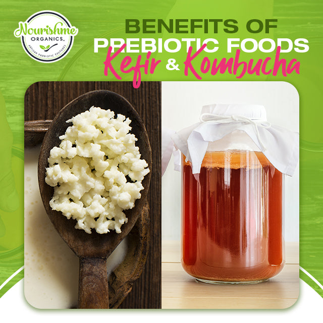 Benefits of Probiotic Foods - Kefir and Kombucha