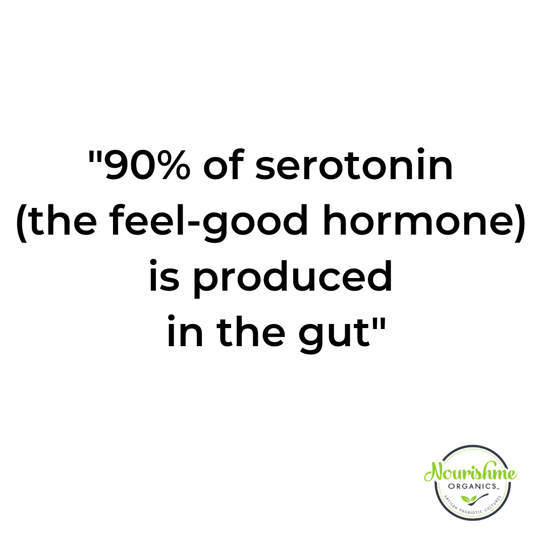 The Psychology of Beating Anxiety & Depression (And How Your Gut Health Plays a Significant Role)