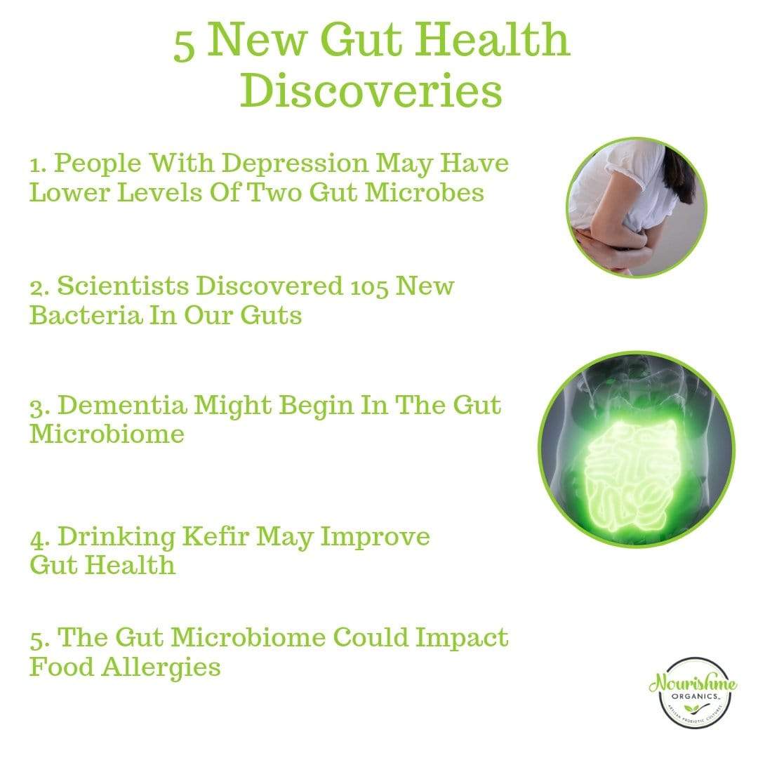 5 New Things We've Learnt About Gut Health in 2019