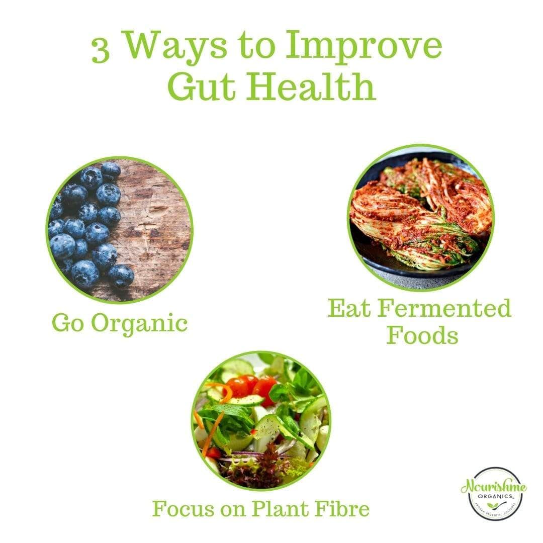 3 Ways to Improve Your Gut Health