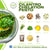 Cilantro Chelation Pesto