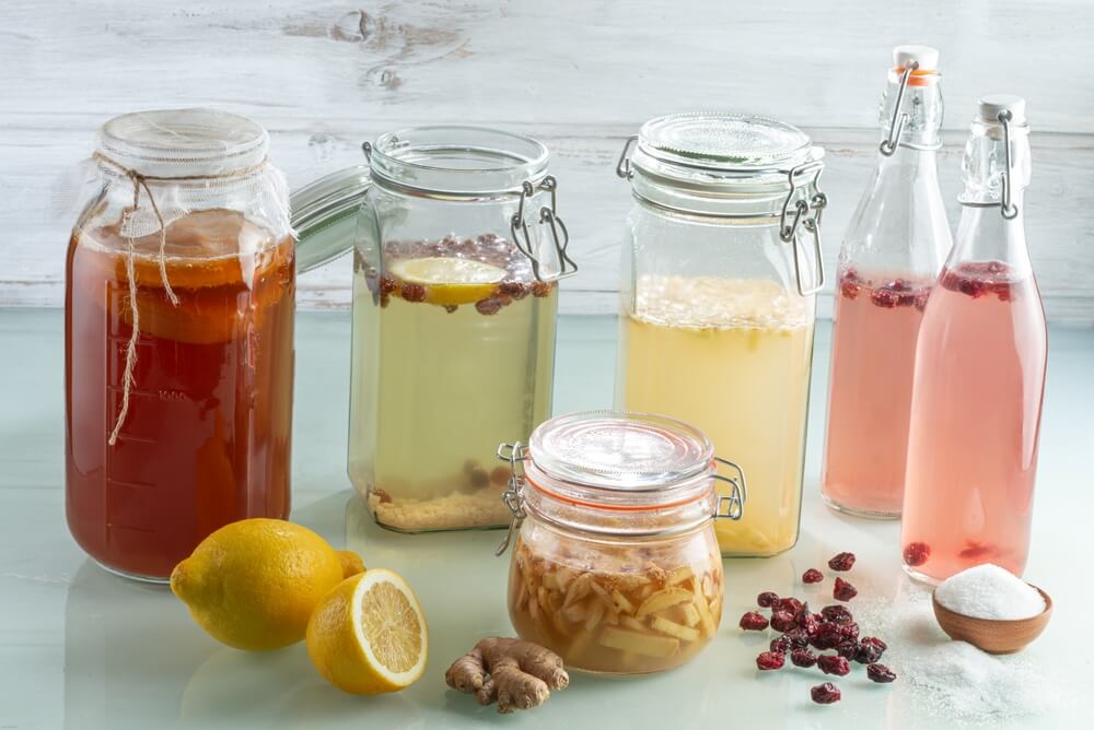 Kefirko Kombucha Maker