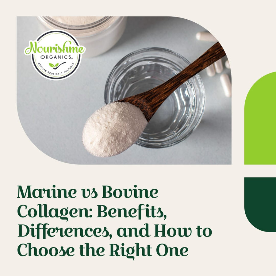 Marine Collagen vs Bovine Collagen: Which one is better?