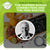 Morley Robbins on The Copper Sugar Connection and the PAM Enzyme