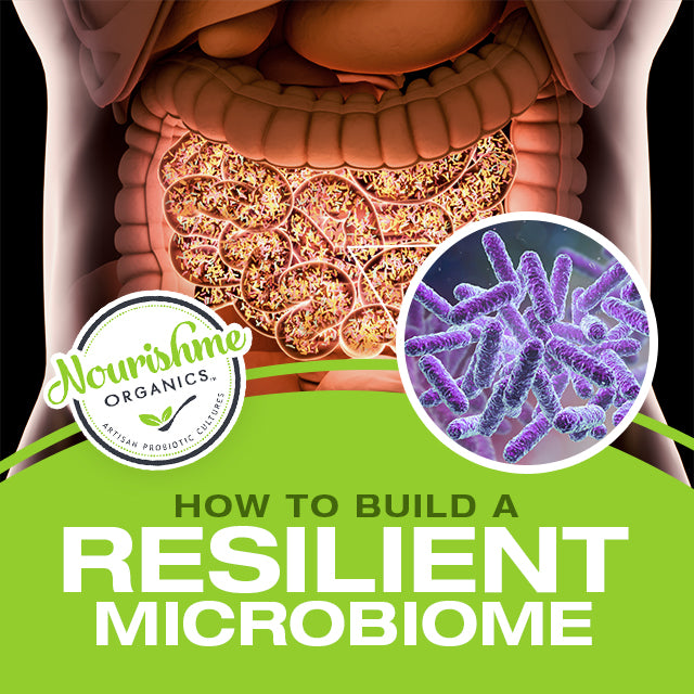 How to Build a Resilient Microbiome