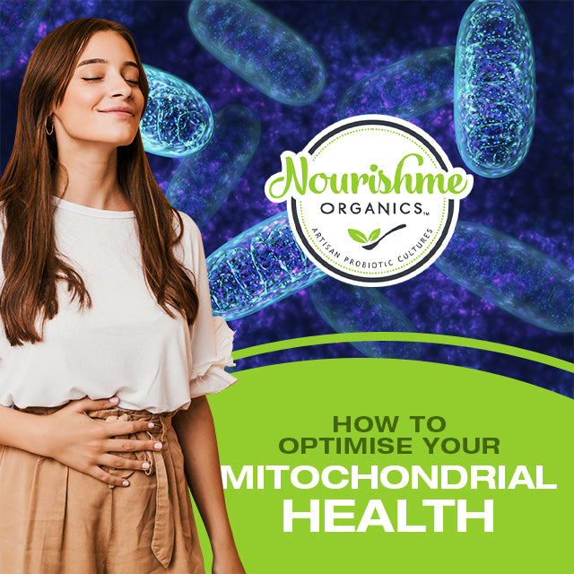 How to Optimise Your Mitochondrial Health