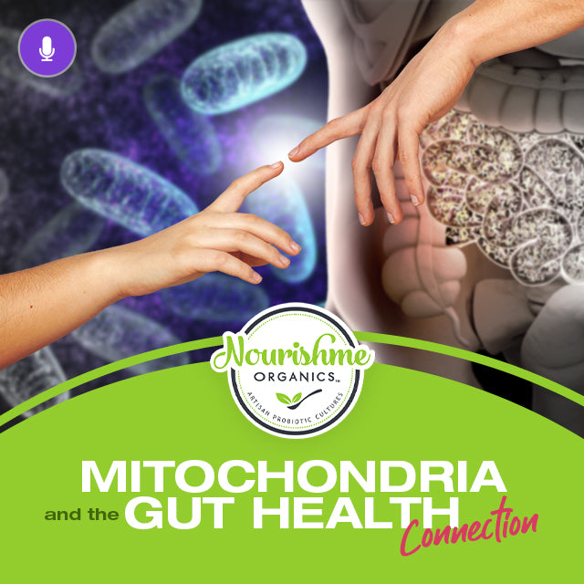 Mitochondria and the Gut Health Connection