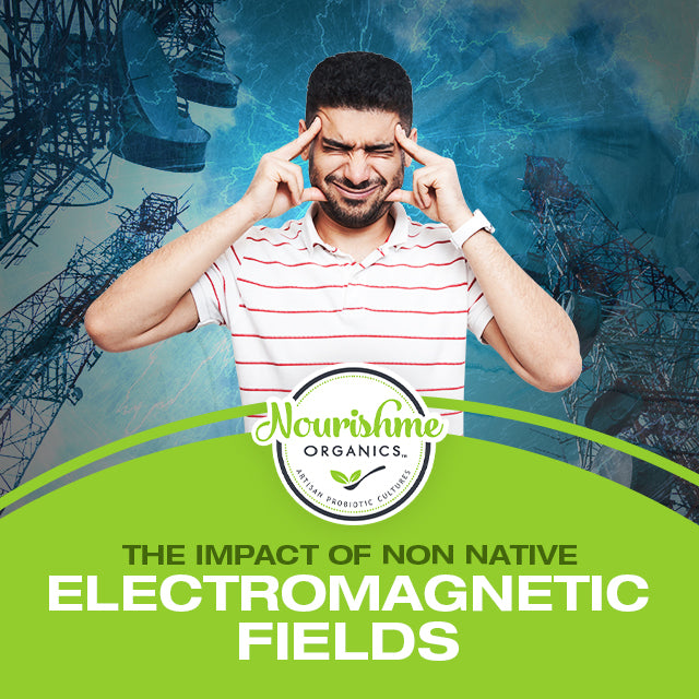 The Impact of Non Native Electromagnetic Fields on Health