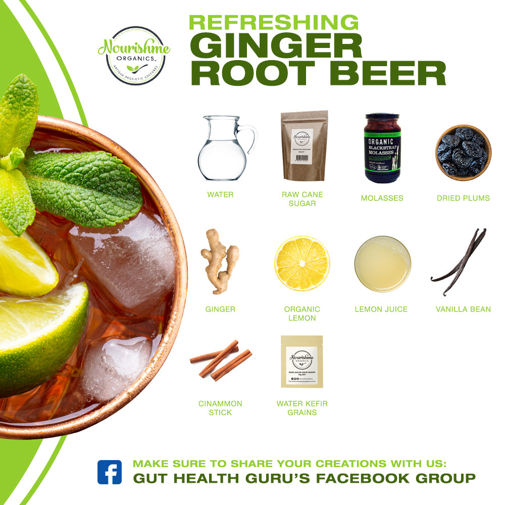 Ginger Root Beer Nourishme Organics
