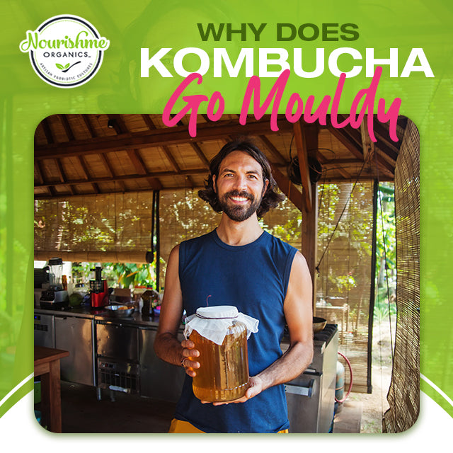 Why Does Kombucha Go Mouldy? Nourishme Organics