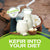 Why should you incorporate kefir into your diet