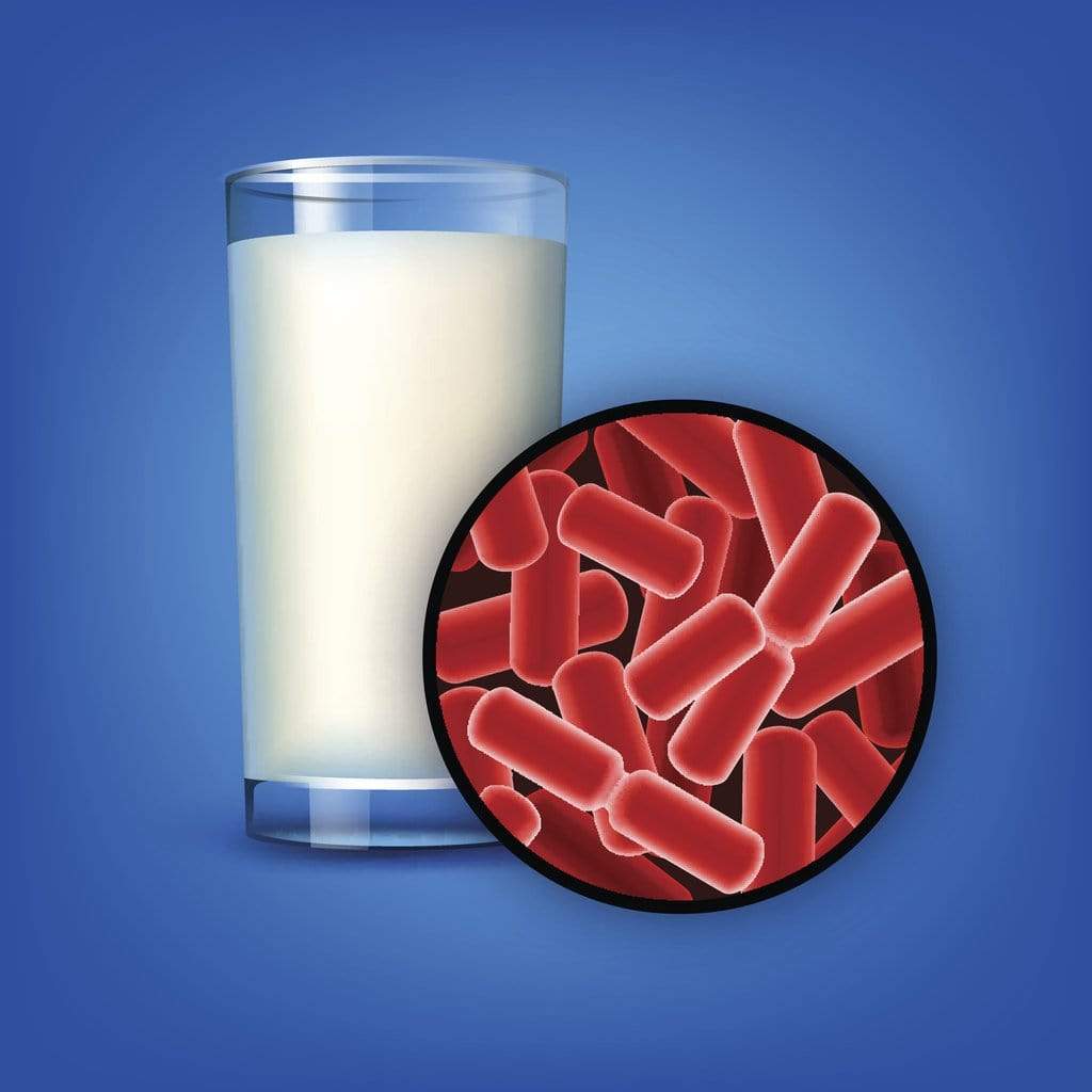 Can Homemade Kefir Bacteria Colonise the Gut?