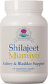 Ayush Herbs Shilajeet Mumiyo 60 capsules
