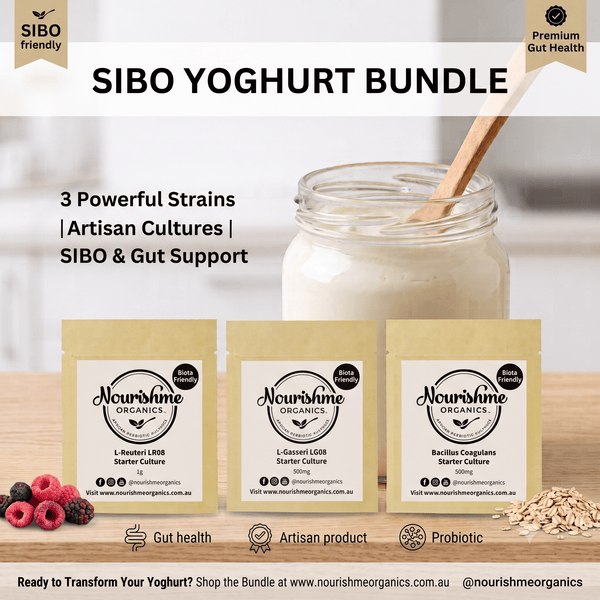 SIBO Yoghurt Starter Bundle | L. reuteri LR08 + L. gasseri LG08 + B. coagulans BC99 (3 x Single Sachets)