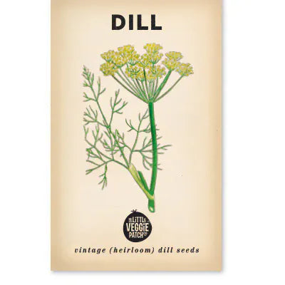 Dill 'Common' Heirloom Seeds – Nourishme Organics