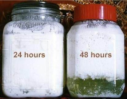 Two jars of milk kefir; the 48-hour jar shows clear whey under the curd