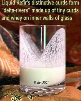 Glass of kefir showing fine curd patterns on the glass