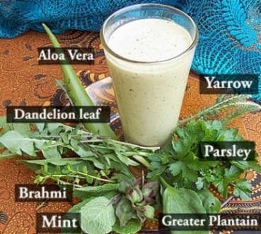 Kefir smoothie surrounded by fresh herbs