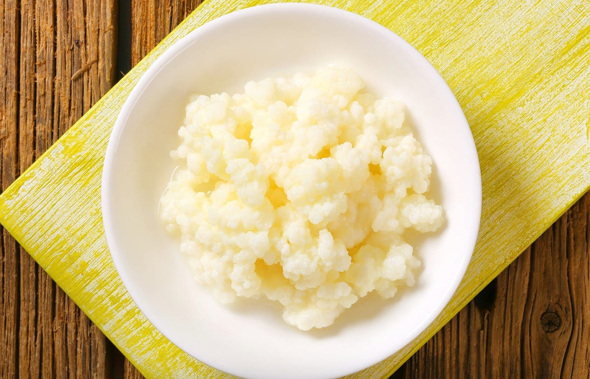 Milk kefir grains in a white bowl