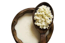  Organic Milk Kefir Grains : Grocery & Gourmet Food