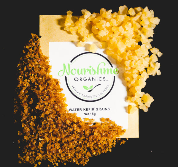 Biji Kefir Air Vegan Organik Kering 15g + Resep Ebook 