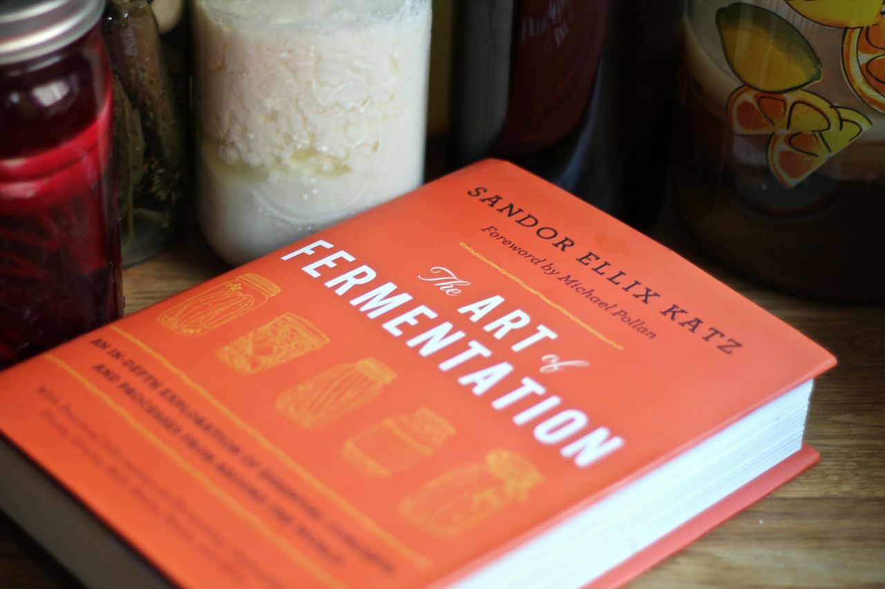 The Art of Fermentation by Sandor Ellix Katz – Nourishme Organics