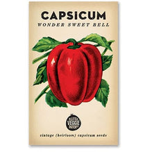BENIH PUSAKA CAPSICUM 'WONDER SWEET BELL'
