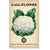 Cauliflower 'Snowball' Heirloom Seeds - Cauliflower