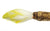 Pure Organic Chicory Root Fibre (FOS Inulin) | Buy Inulin Australia Nourishmeorganics