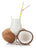 Raw Organic Vegan Coconut Milk Kefir Grains 15g + Recipe E-Book