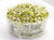 Organic Mung Bean Sprouting Seeds 100g