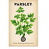 PARSLEY 'ITALIAN' HEIRLOOM SEEDS